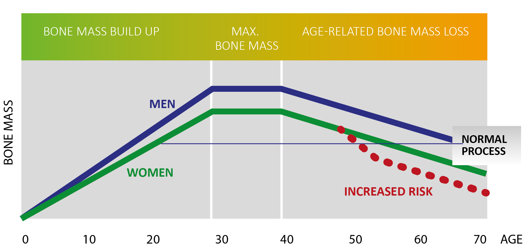 Normal Bone Density Chart By Age